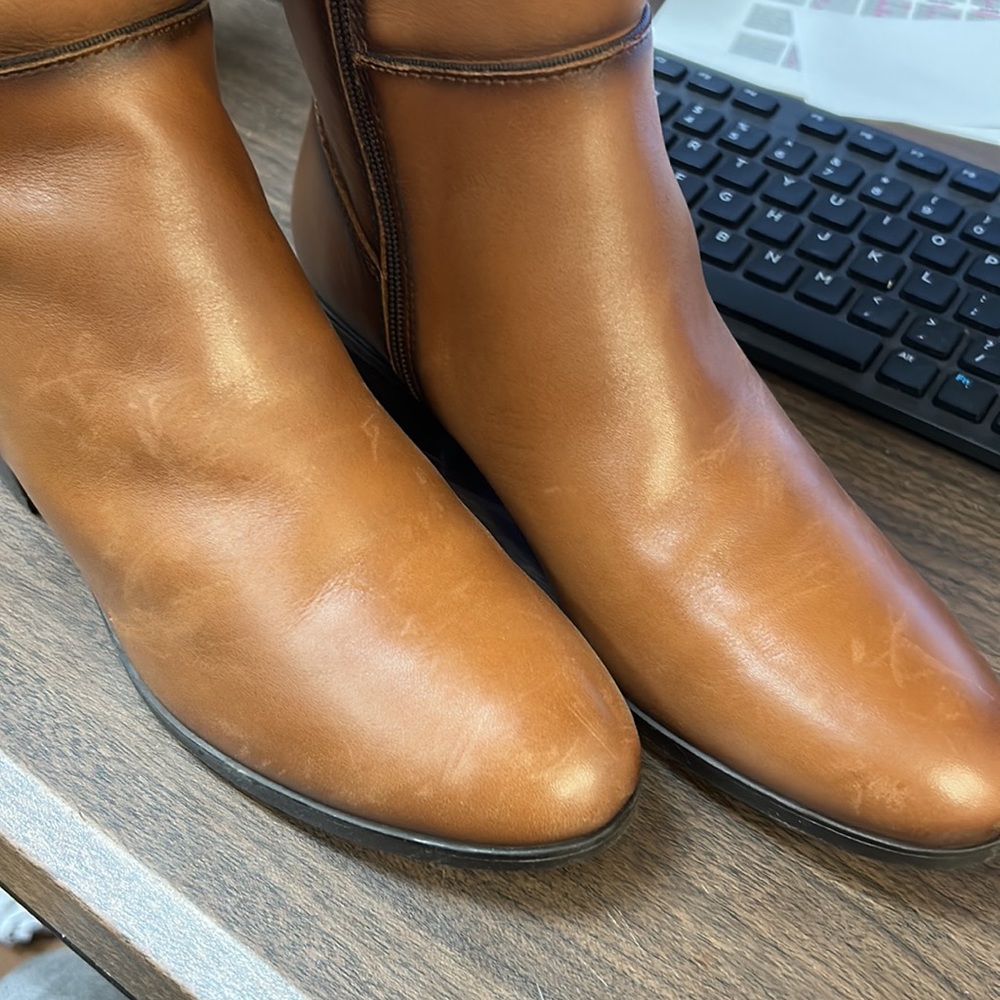 Pikolinos Daroca - Picture 3 of 5